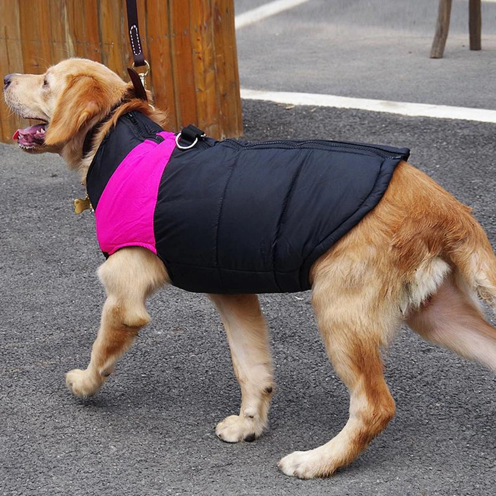 Jacket Winter Warm Dog Clothes Pet