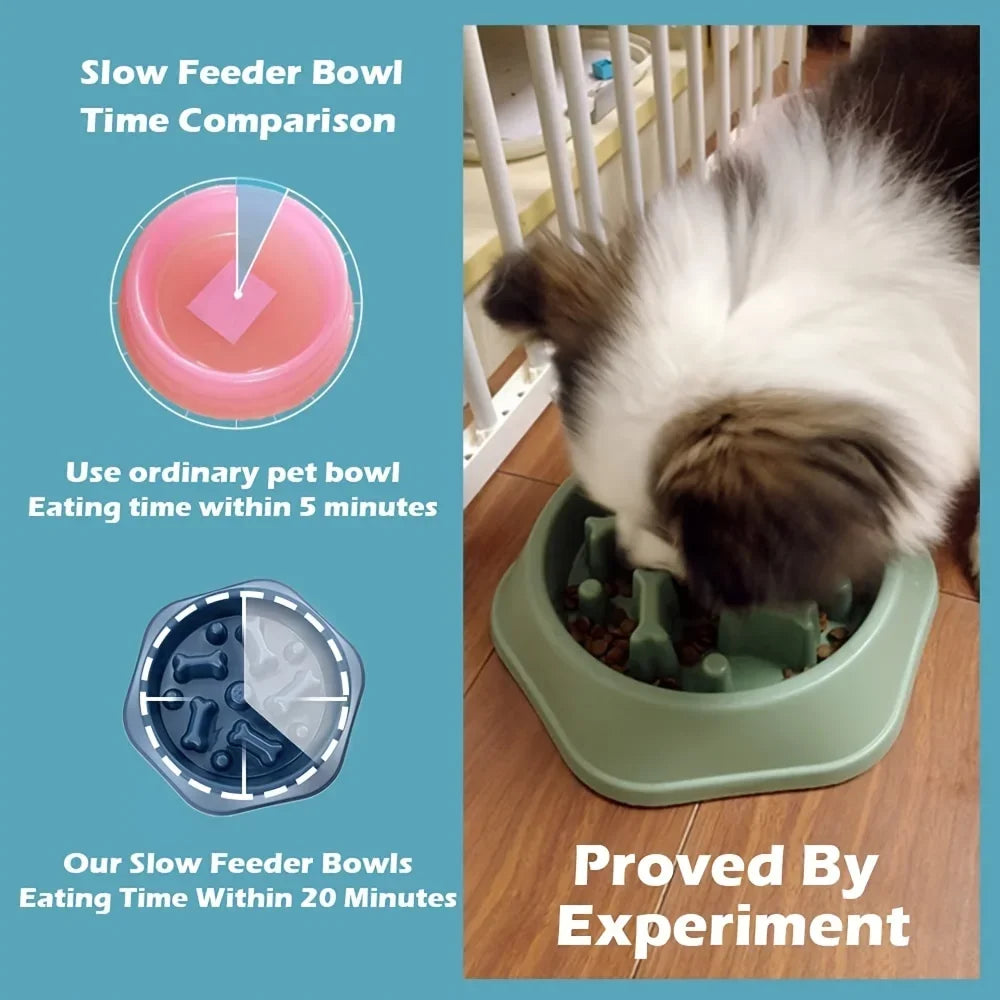 Dog Slow Feeder Non-choking Pet Bowl Anti Slip