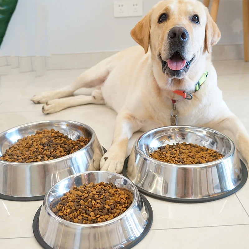 6 Size Pet Dog Cat Bowls Stainless Steel Feeding