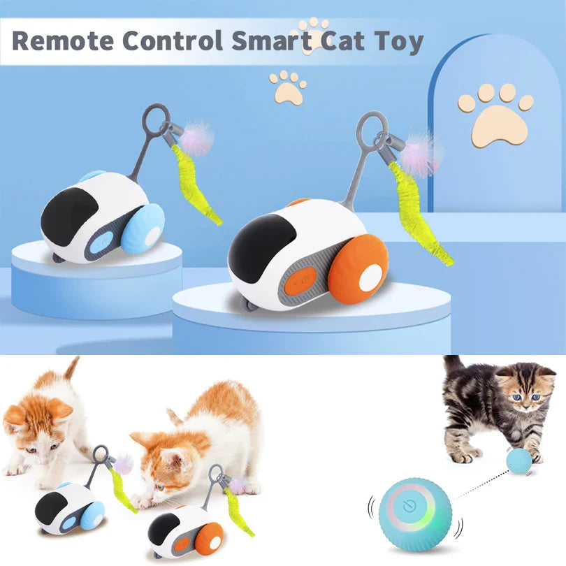 Interactive Cat Toy Car with Remote Control