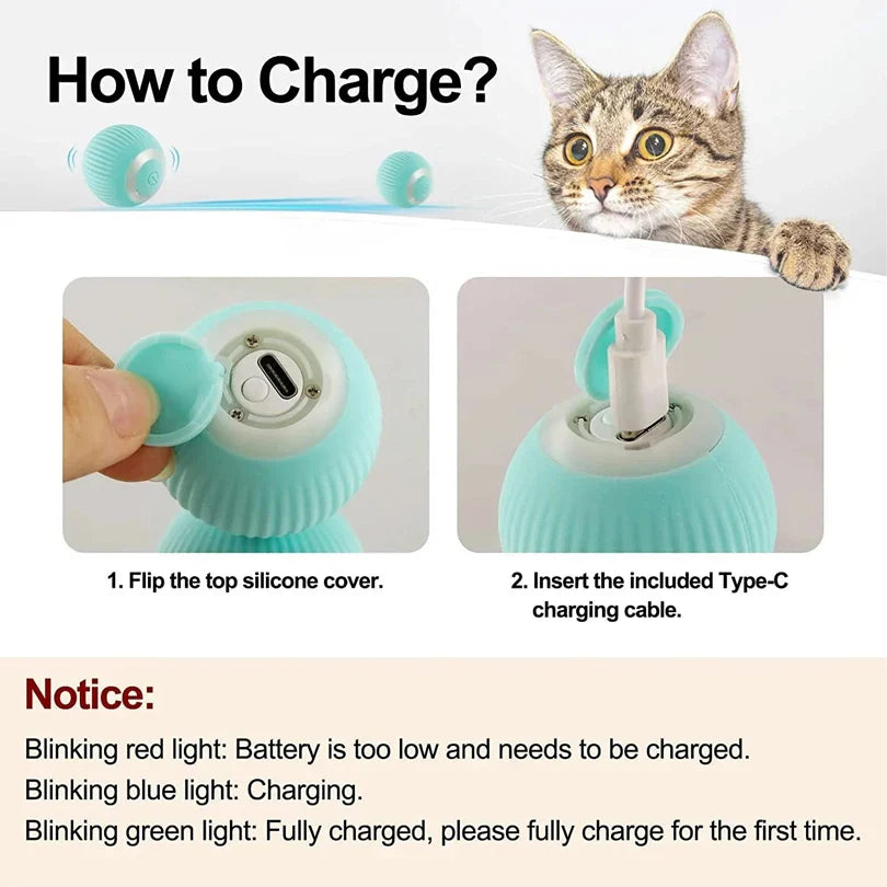 Interactive Cat Toy Car with Remote Control