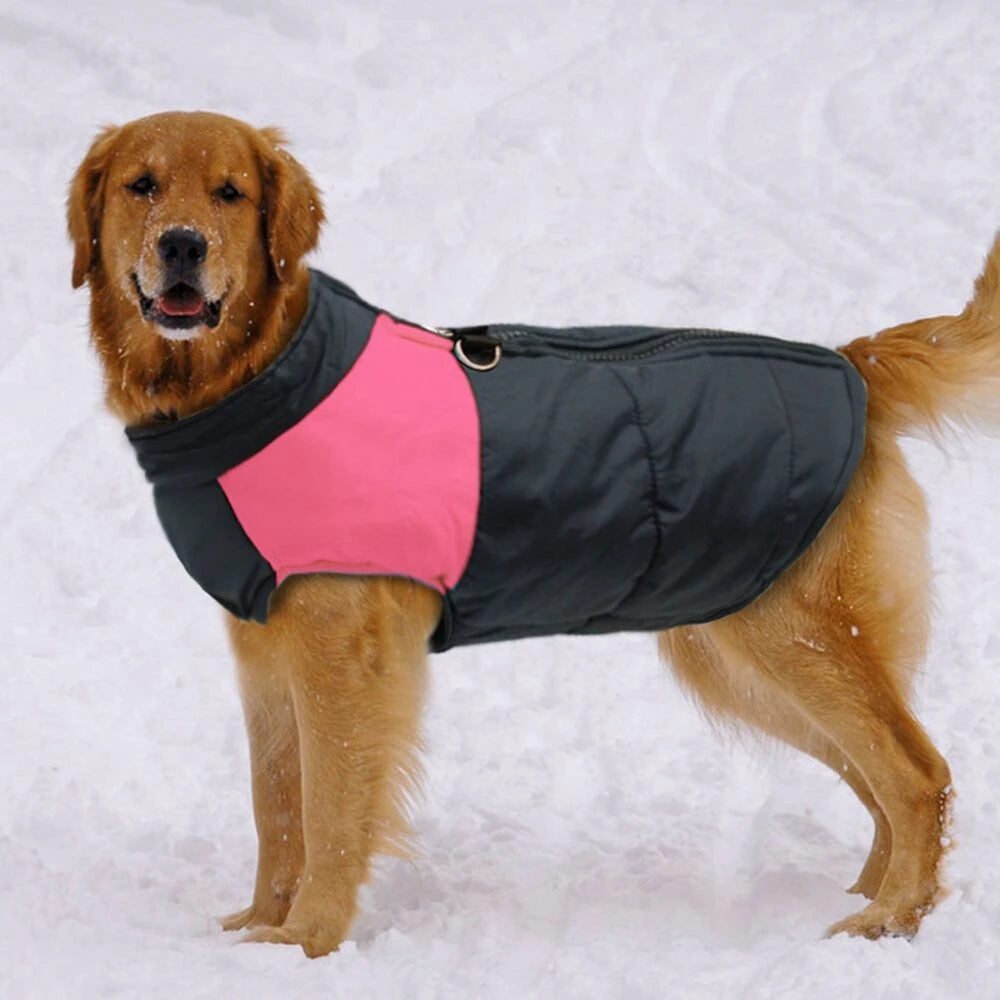 Jacket Winter Warm Dog Clothes Pet