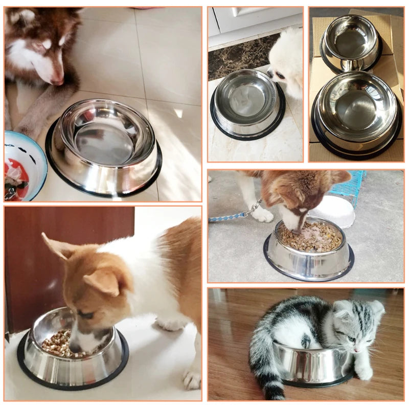 6 Size Pet Dog Cat Bowls Stainless Steel Feeding