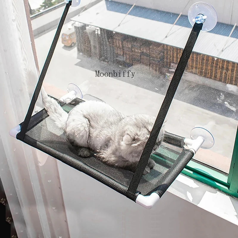 Cat Hammock